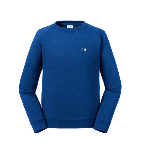 Sweatshirt Kids